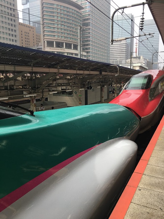 Changing Shinkansen at Tokyo Station